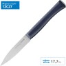Нож столовый OPINEL, NEWINTEMPOR, деревянная ручка, нерж, сталь. 002223